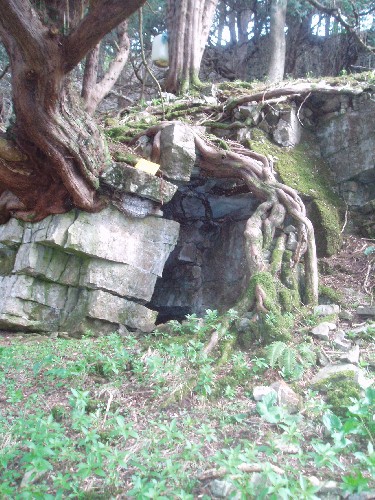 Yew Tree Cave, Morecambe Bay